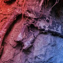 Az erdélyi őslény-szenzáció: új dinoszauruszok egymás hegyén-hátán