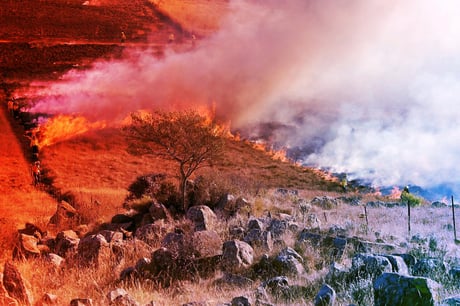 Az erdőtüzek a gondoltnál sokkal durvábban szennyeznek