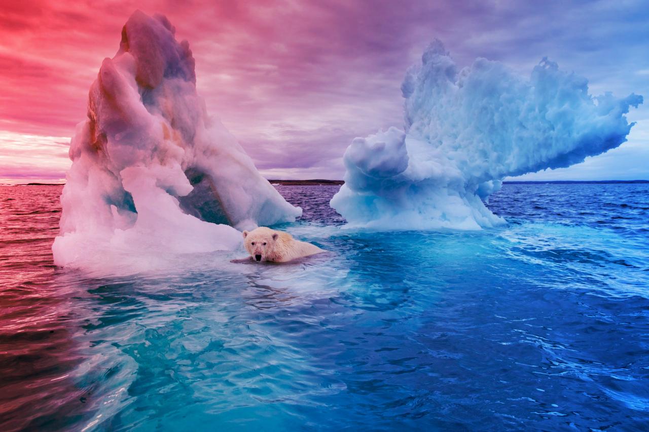 Az északi-sarkvidék eltűnik a szemünk előtt: húsz év drámája