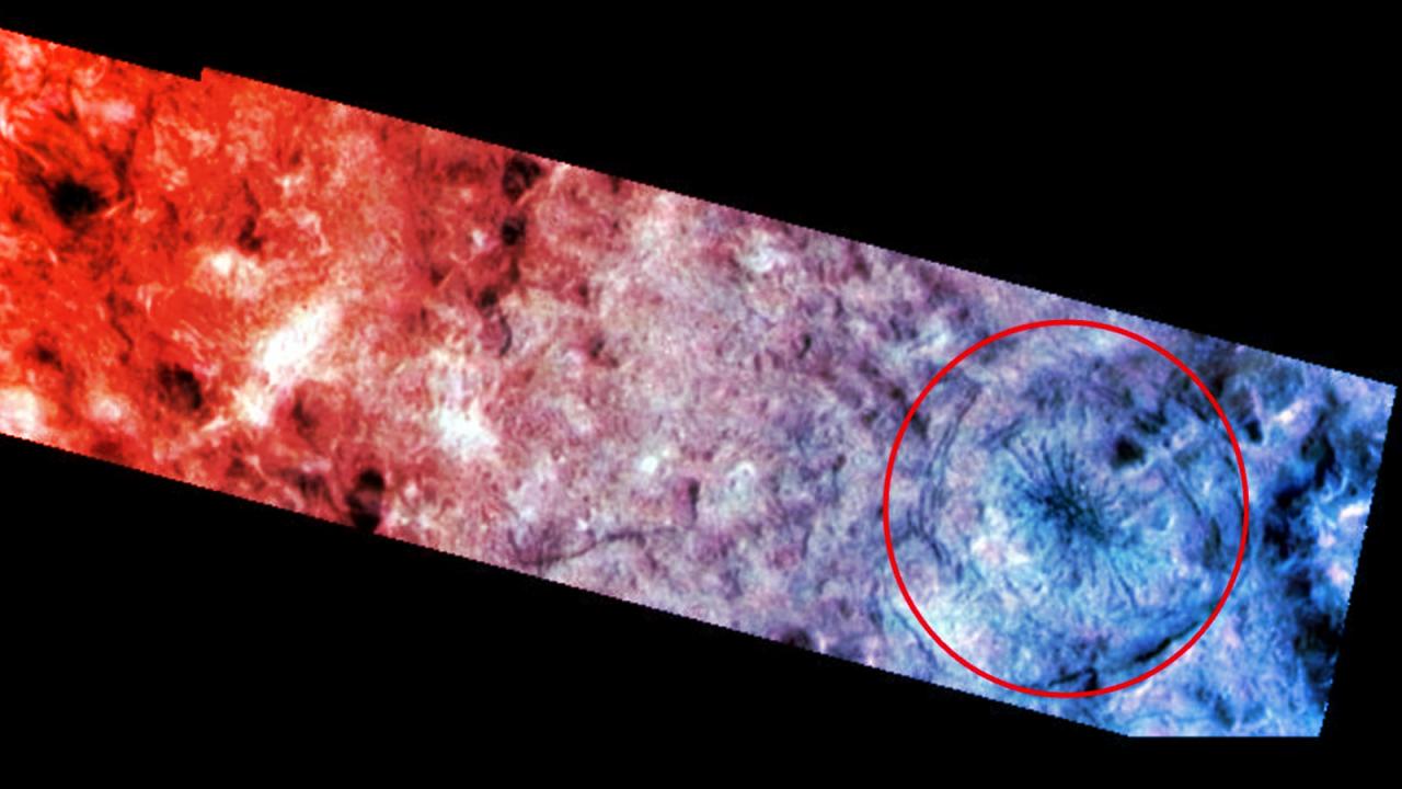 Az európai démonpók titkára végre fény derül