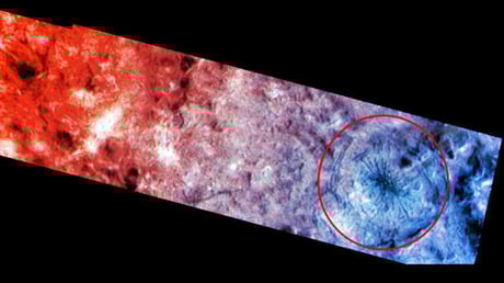 Az európai démonpók titkára végre fény derül