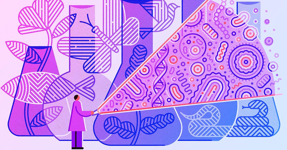 Az év biológiai áttörései: emlékezet, evolúció és az MI legfurcsább titkai