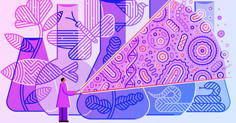 Az év biológiai áttörései: emlékezet, evolúció és az MI legfurcsább titkai