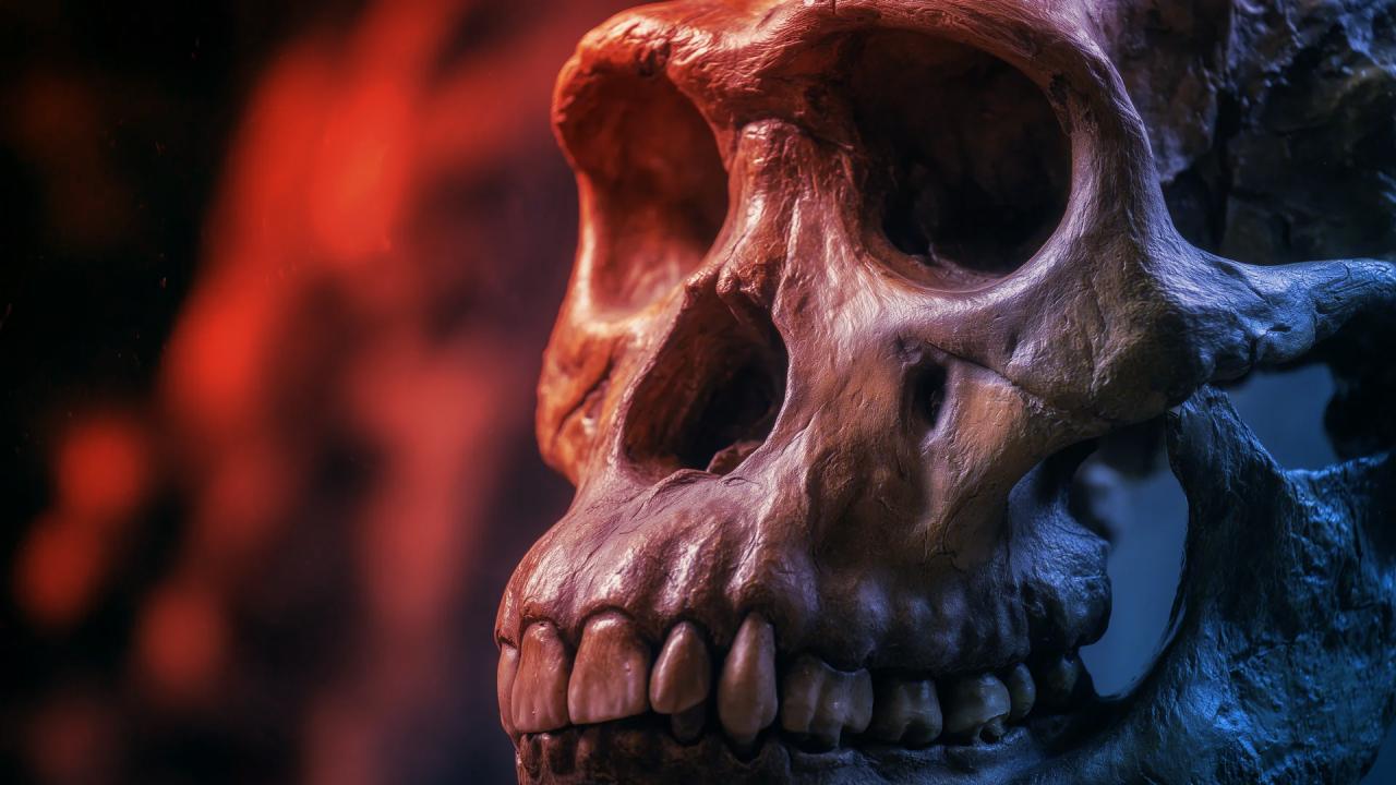 Az evolúció visszapörgetve – a válasz megdöbbentő