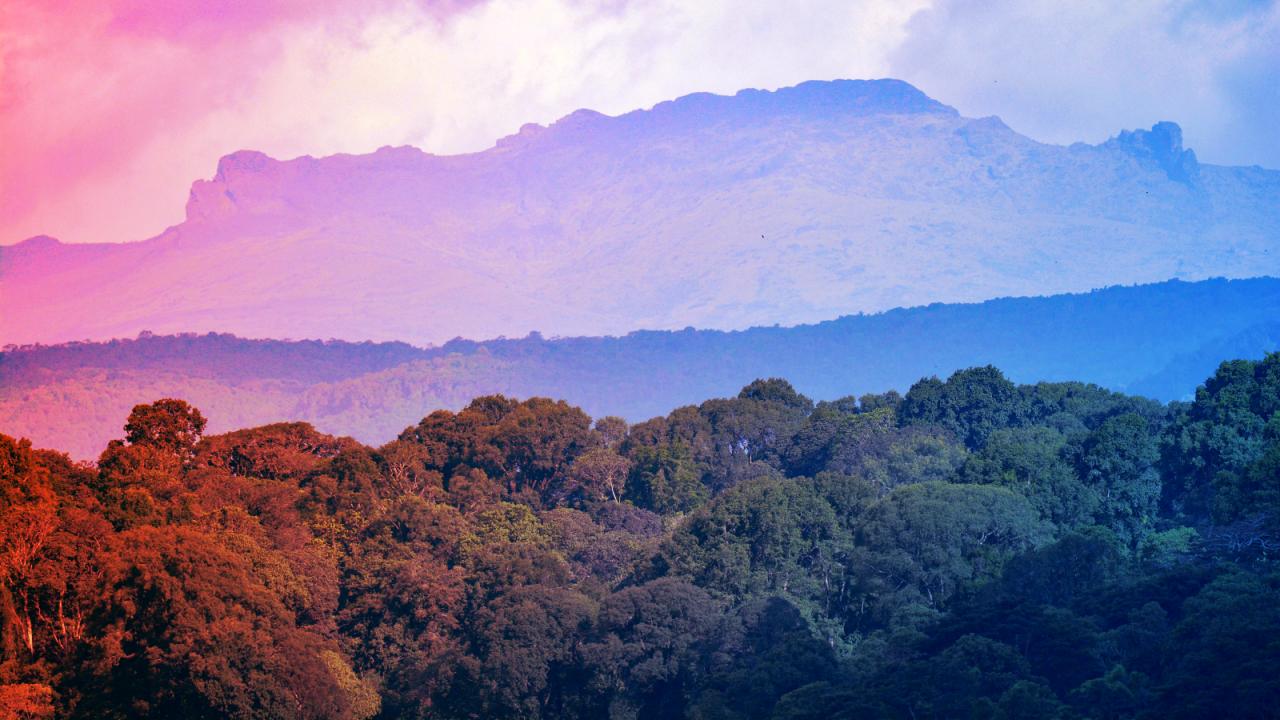 Az évszakok felborultak: miért más a tavasz a szomszédban?