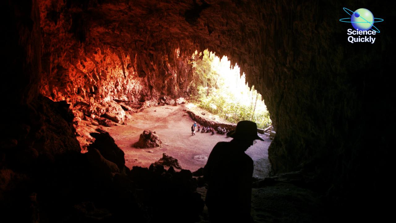 Az évszázad forrósága, a hobbitok kihalásának rejtélye és a K-vitamin-vita