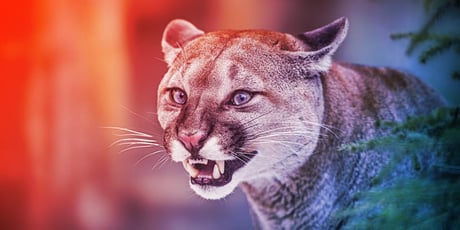 Az IBM élesítette a CUGA-t: az MI-ügynök már dolgozik