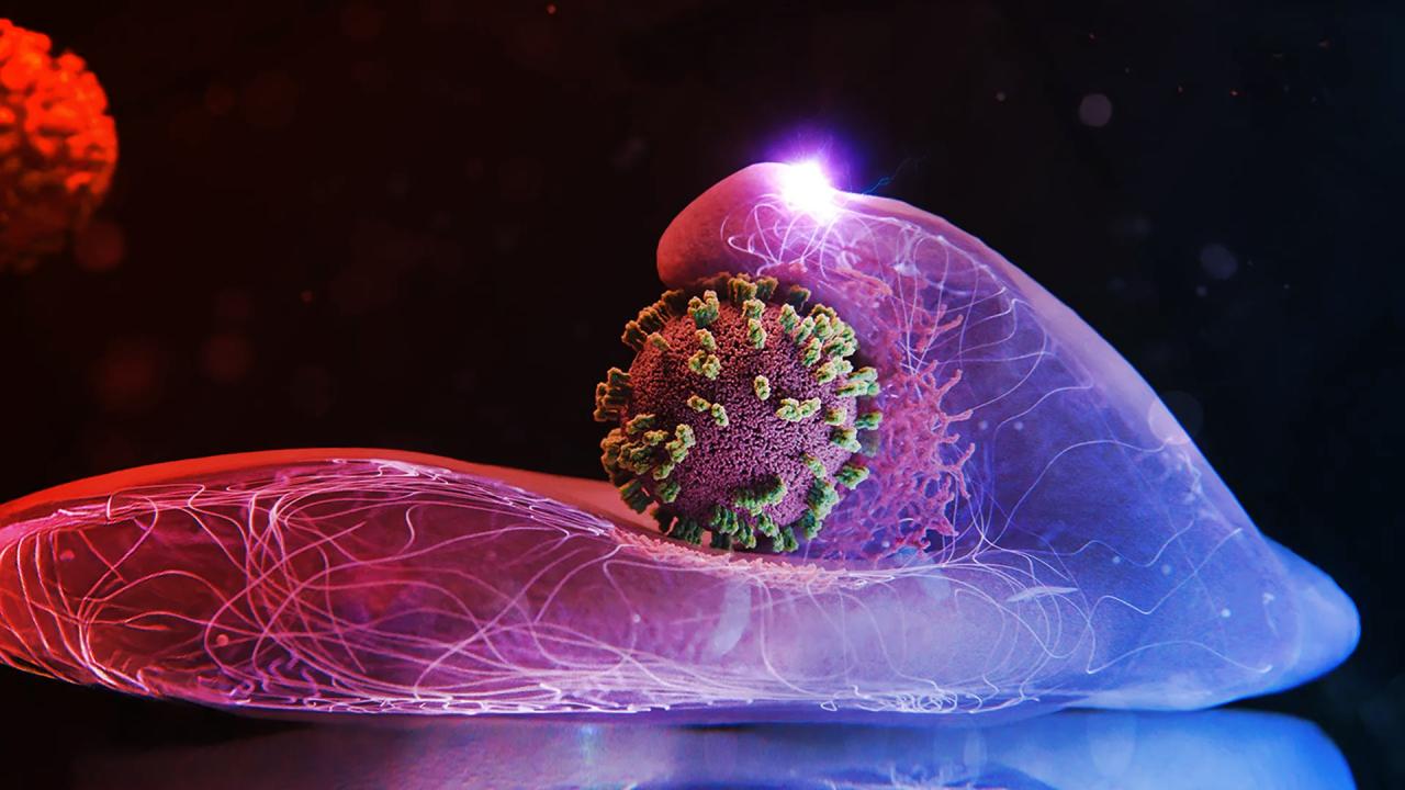 Az influenzavírus tényleg besétál a sejtjeinkbe – és lefilmeztük!