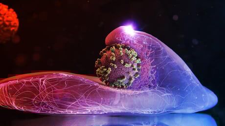 Az influenzavírus tényleg besétál a sejtjeinkbe – és lefilmeztük!