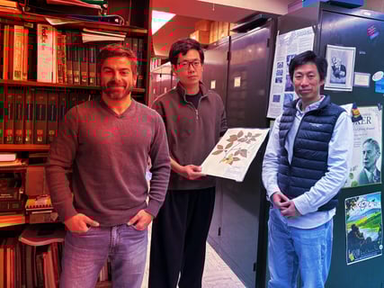 Az MI-forradalom bekebelezi a természetrajzi gyűjteményeket