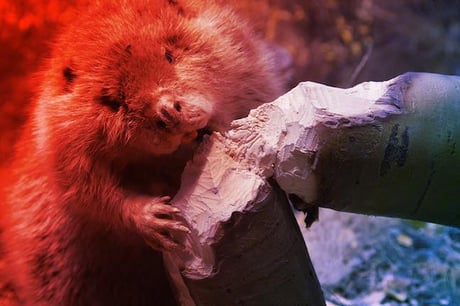 Az MI végre a dolgozók kezébe kerül?