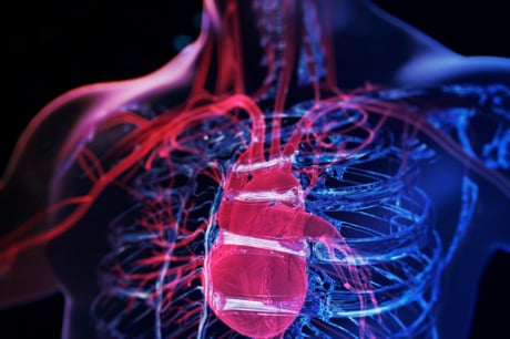 Az mRNS-vakcinák ritka szívkárosodását azonosították