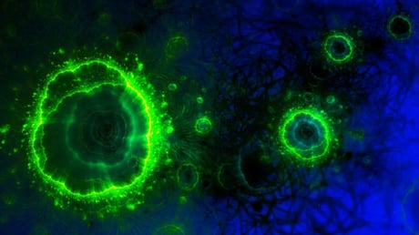 Az óceán mélye rejtélyesen tünteti el a szenet