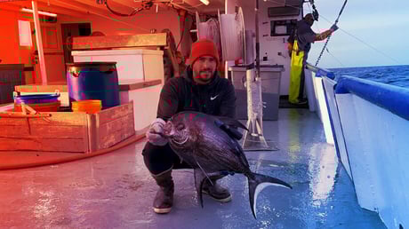 Az óceán mélyének elveszett láncszeme végre napvilágra került