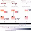 Az okinavai tudósok leleplezték a lopakodó szabadgyökök támadását