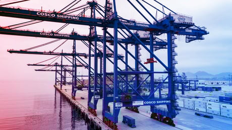 Az óriáspiac az Amazonas esőerdőjének sírját ássa