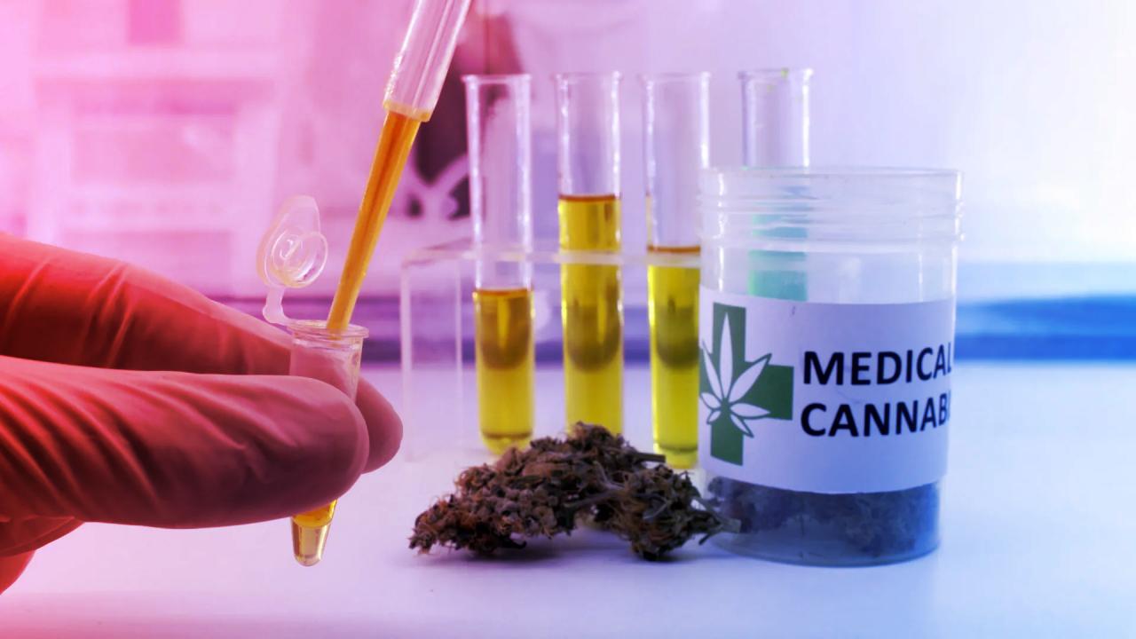 Az orvosi kannabisz: mi igaz a hiedelmekből, mi nem?