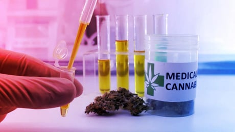 Az orvosi kannabisz: mi igaz a hiedelmekből, mi nem?