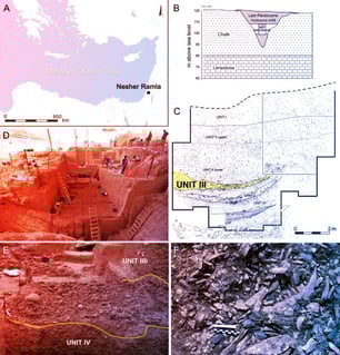 Az ősember nem habzsolt, okosan vadászott