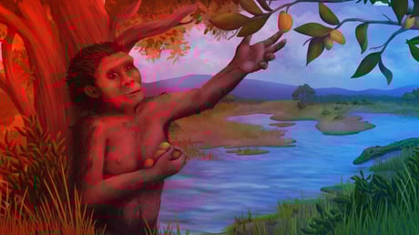 Az ősi Lucy végre elárulja élete titkait