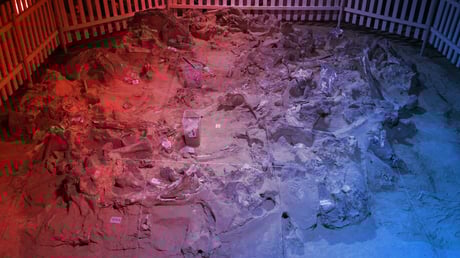 Az őskori Ukrajna luxusa: mamutcsontból épített házak