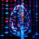 Az öt genetikai kulcscsoport, amely meghatározza a pszichiátriai zavarokat