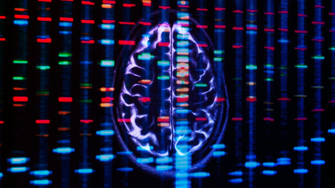 Az öt genetikai kulcscsoport, amely meghatározza a pszichiátriai zavarokat