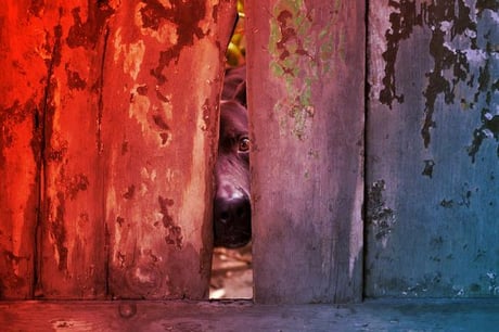 Az új MI a Chrome-ban: veszélyes játék, csak MI óvhat meg