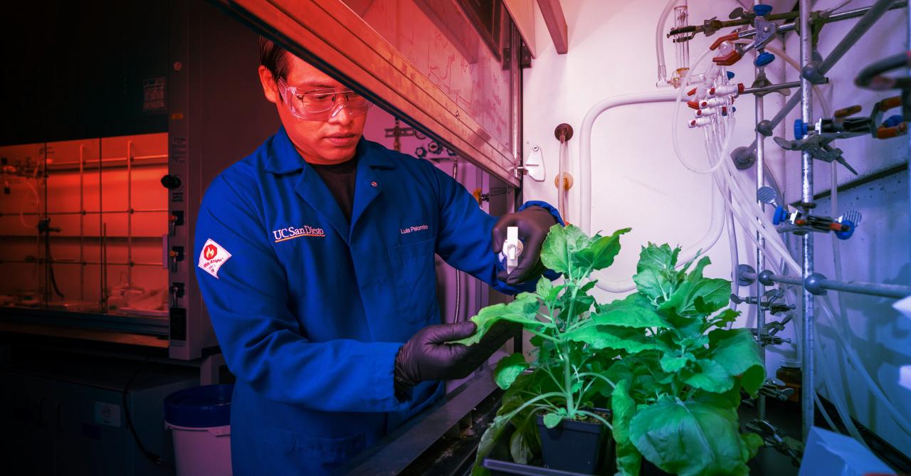 Az új permetezhető bevonat lehet a gazdák mentőöve