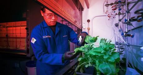 Az új permetezhető bevonat lehet a gazdák mentőöve