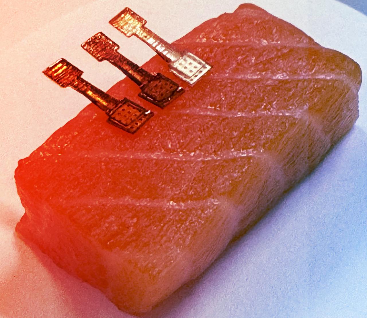 Az új szenzor azonnal elárulja, mennyire friss a hal