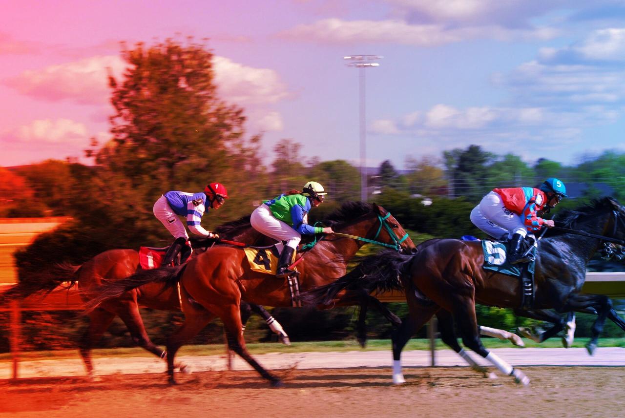 Az új vérteszt leleplezte: a kiégett ló sosem nyer