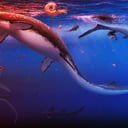 Elképesztő, hogy az óceánok pármillió év alatt újjászülettek a legnagyobb kihalás után