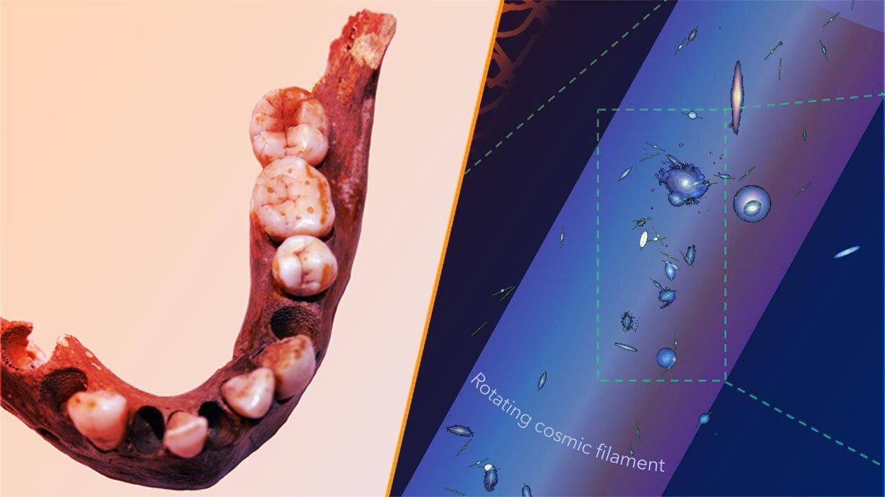 Mi köti össze az elszigetelt emberiséget, az űrpörgettyűt és a koponyagödröt?
