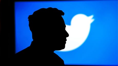 Visszatér-e a Twitter? Bluebird szemben Elon Muskkal, a „márkagyilkos megváltóval”