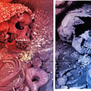 A barlangi medve visszavág: véres véget ér az ősi vadászat