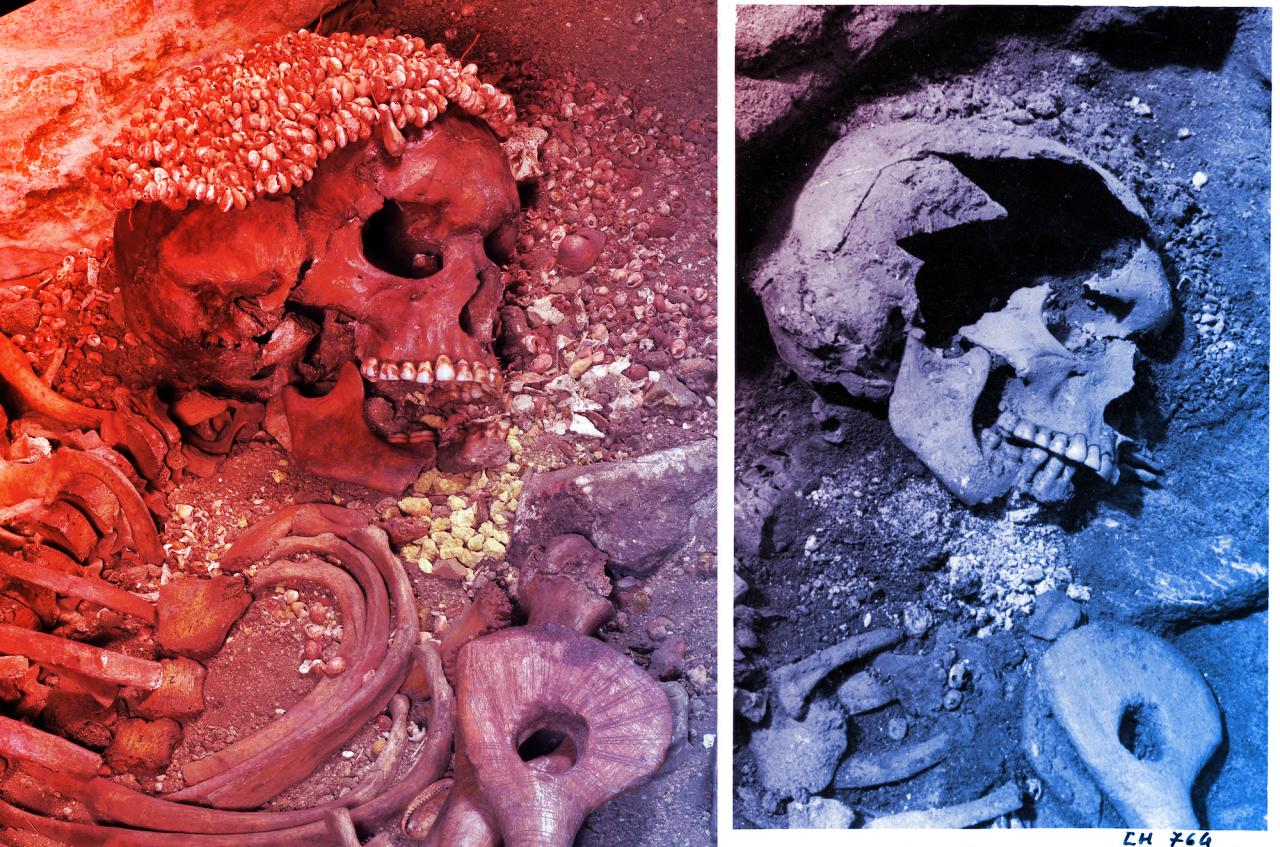 A barlangi medve visszavág: véres véget ér az ősi vadászat