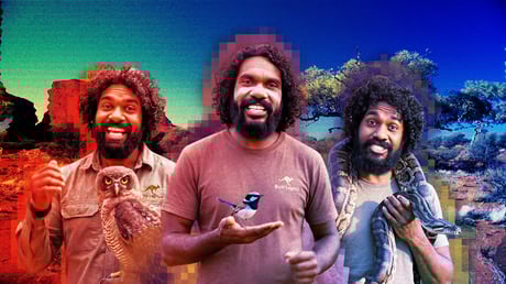 A „Bush Legend” MI-botrány: digitális bőrfestés a TikTokon