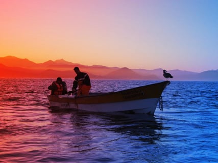 A fenntartható halászat kulcsa: nem mindegy, kié a döntés