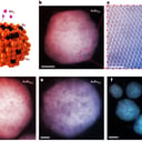 A fény hajtja az arany nanorészecskéket: tisztább ammónia a végeredmény