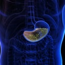 A gyomorsav titkai: miért nem emészt fel belülről?