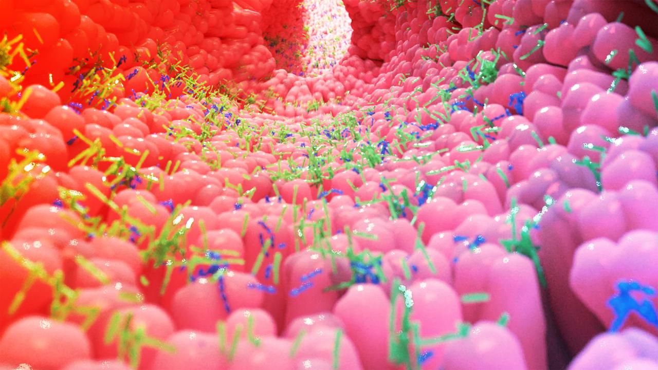 A hétköznapi vegyszerek csendben pusztíthatják a bélbaktériumokat