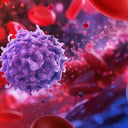 A hiányzó fehérje, amely felgyorsítja immunrendszered idő előtti öregedését