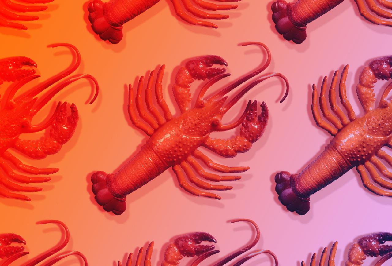 A homárok MI-asszisztense: minden, amit a Moltbotról tudni kell