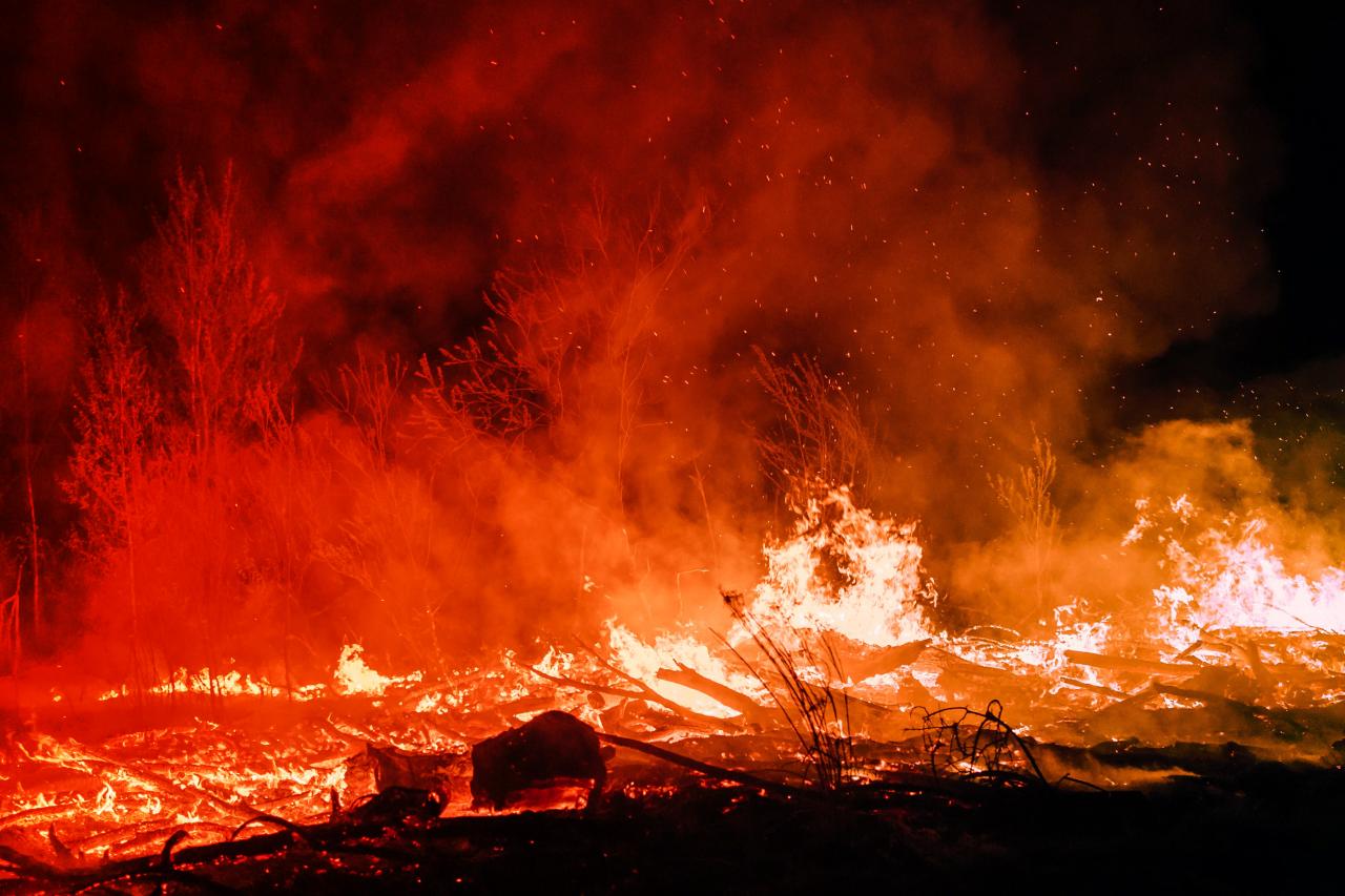 A kaliforniai erdőtüzek füstje növelheti az autizmus kockázatát