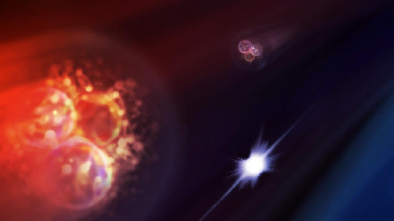 A káosz mögött rend: meglepő minták az LHC ütközéseiben