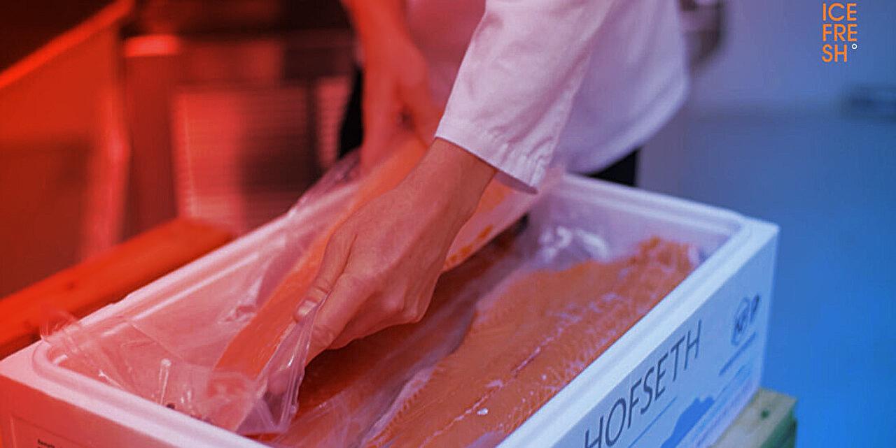 A kikötői friss hal bárhol az asztalon: forradalmi kiolvasztás