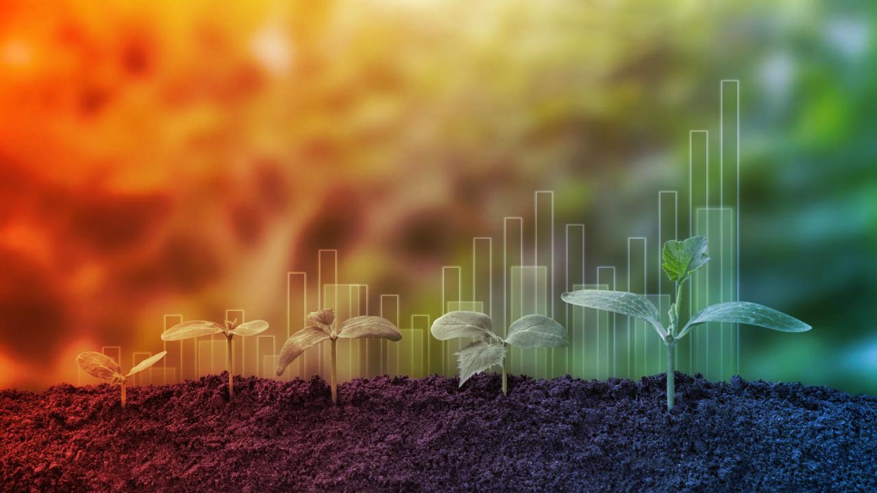 A klímamodellek tévednek: a növények kevesebb CO₂-t nyelnek el