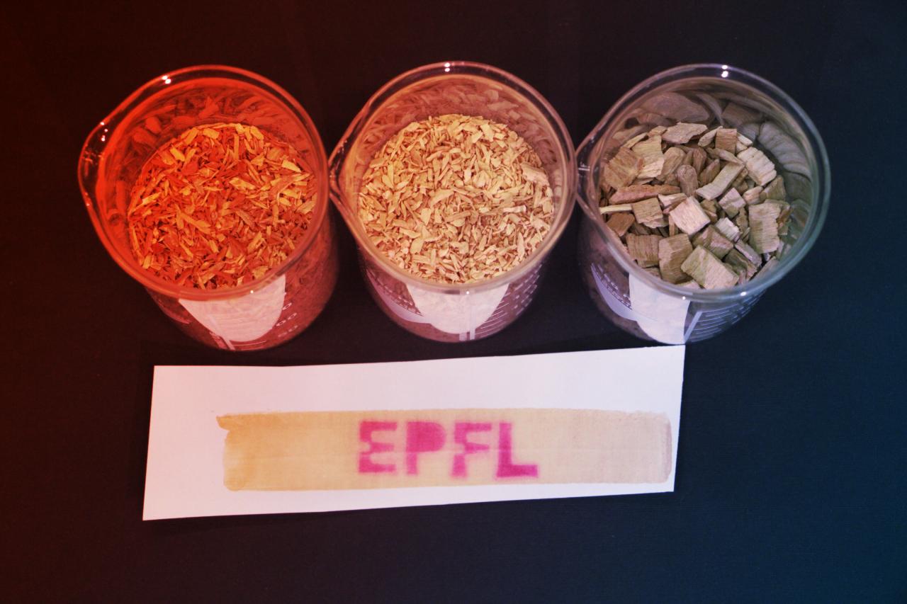 A mérgező hőpapír napjai meg vannak számlálva: jön a faalapú alternatíva