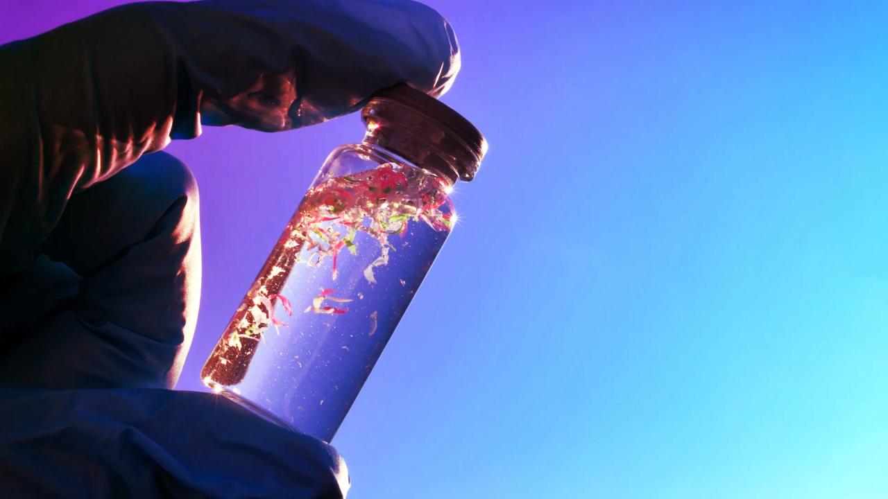 A mikroműanyag veszélybe sodorja az óceánok klímavédő szerepét